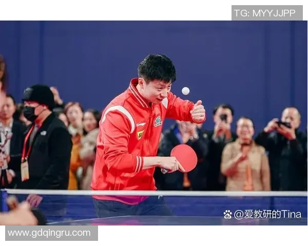 南京乒乓球队在杯赛中的状态分析与表现评估